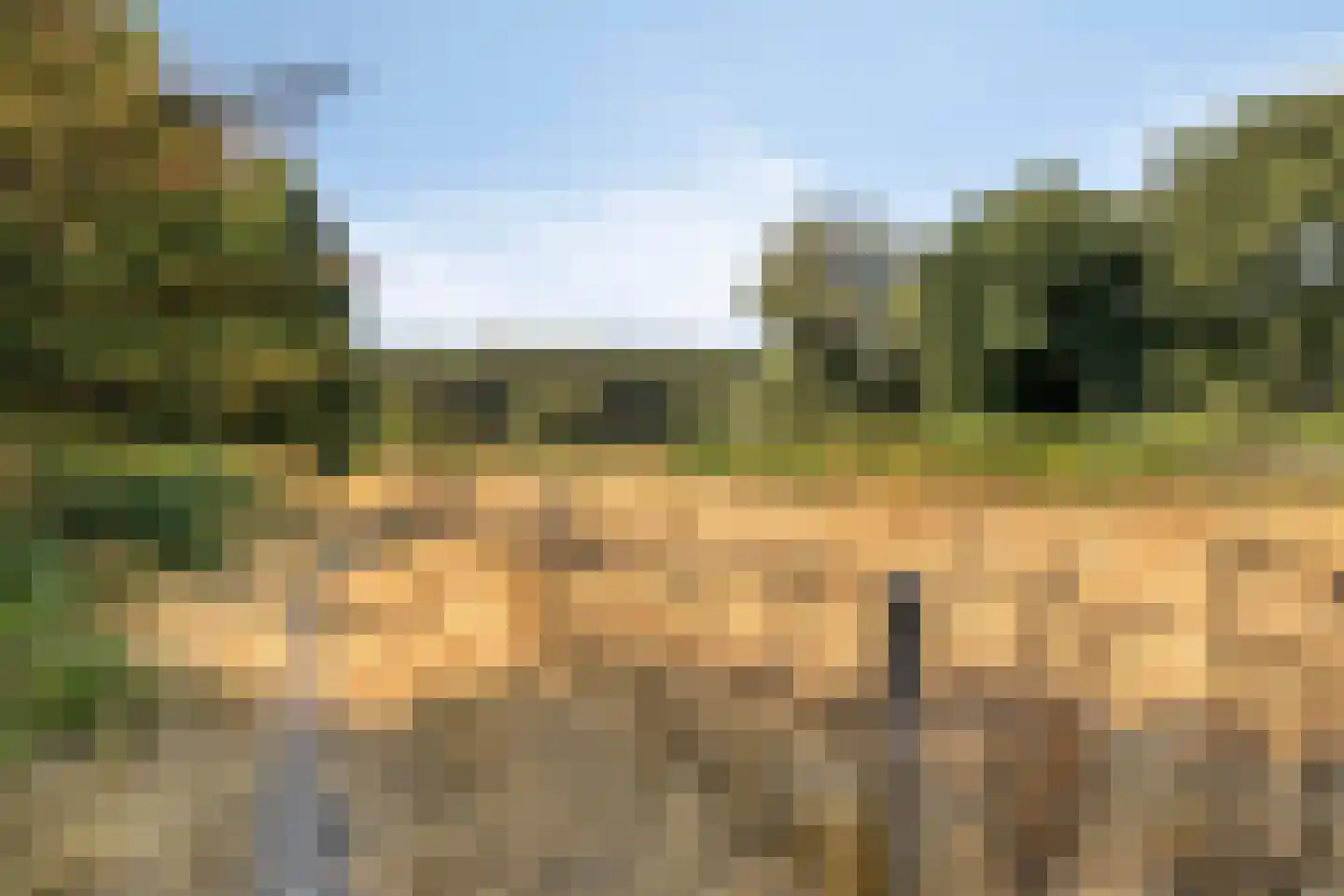 't Wasven 14 Halsteren thumbnail 57