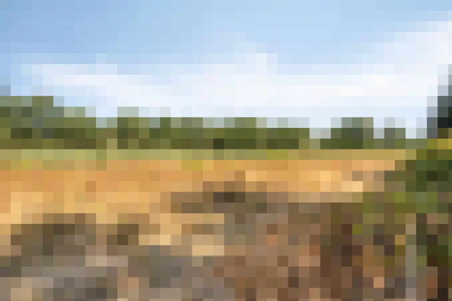 't Wasven 14 Halsteren thumbnail 58