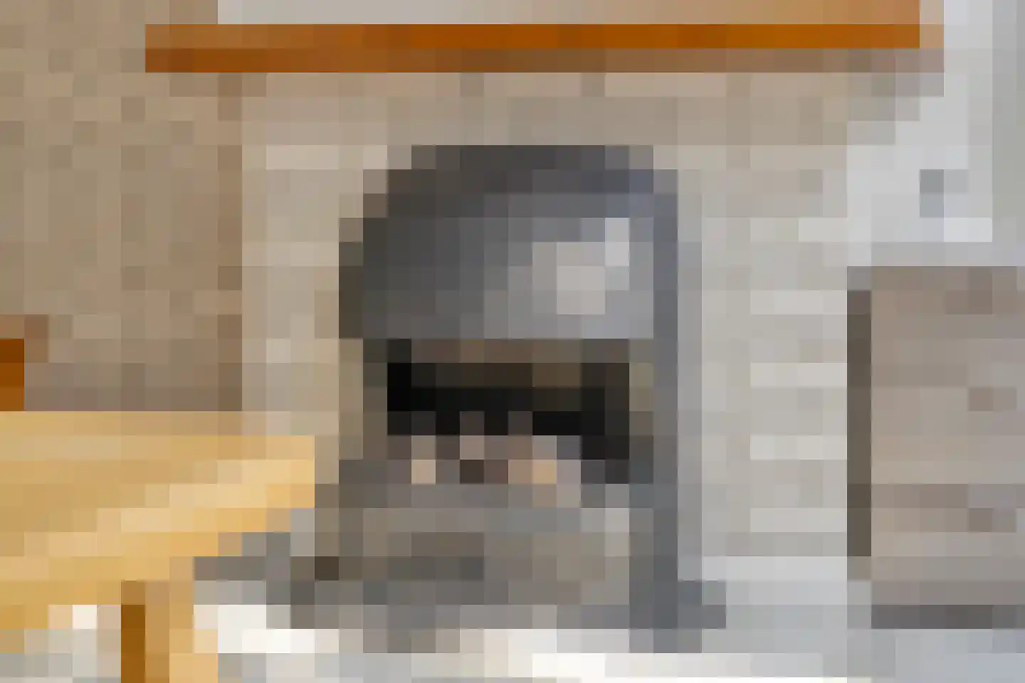 't Wasven 14 Halsteren thumbnail 7