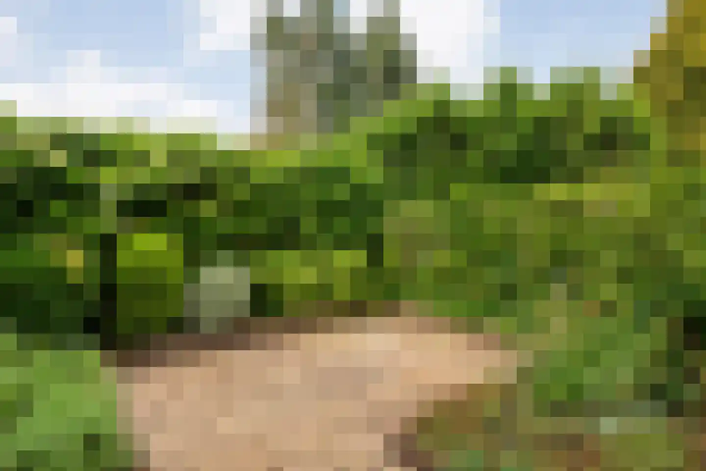 't Weegel 41 Laag Zuthem thumbnail 43