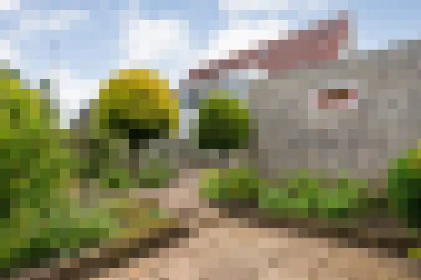 't Weegel 41 Laag Zuthem thumbnail 44