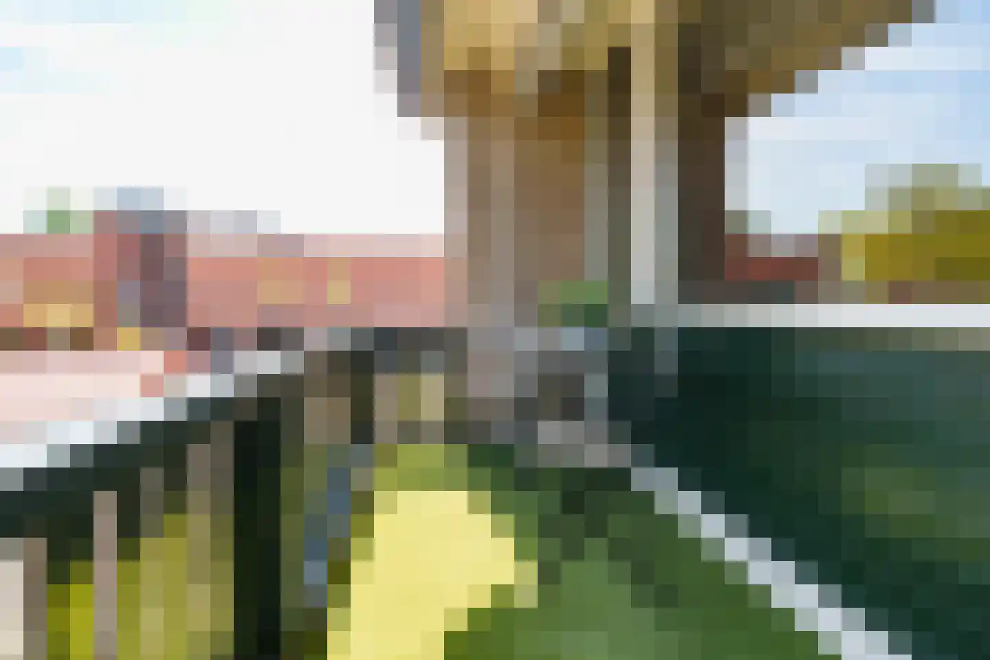 't Weerom 5 Barendrecht thumbnail 18