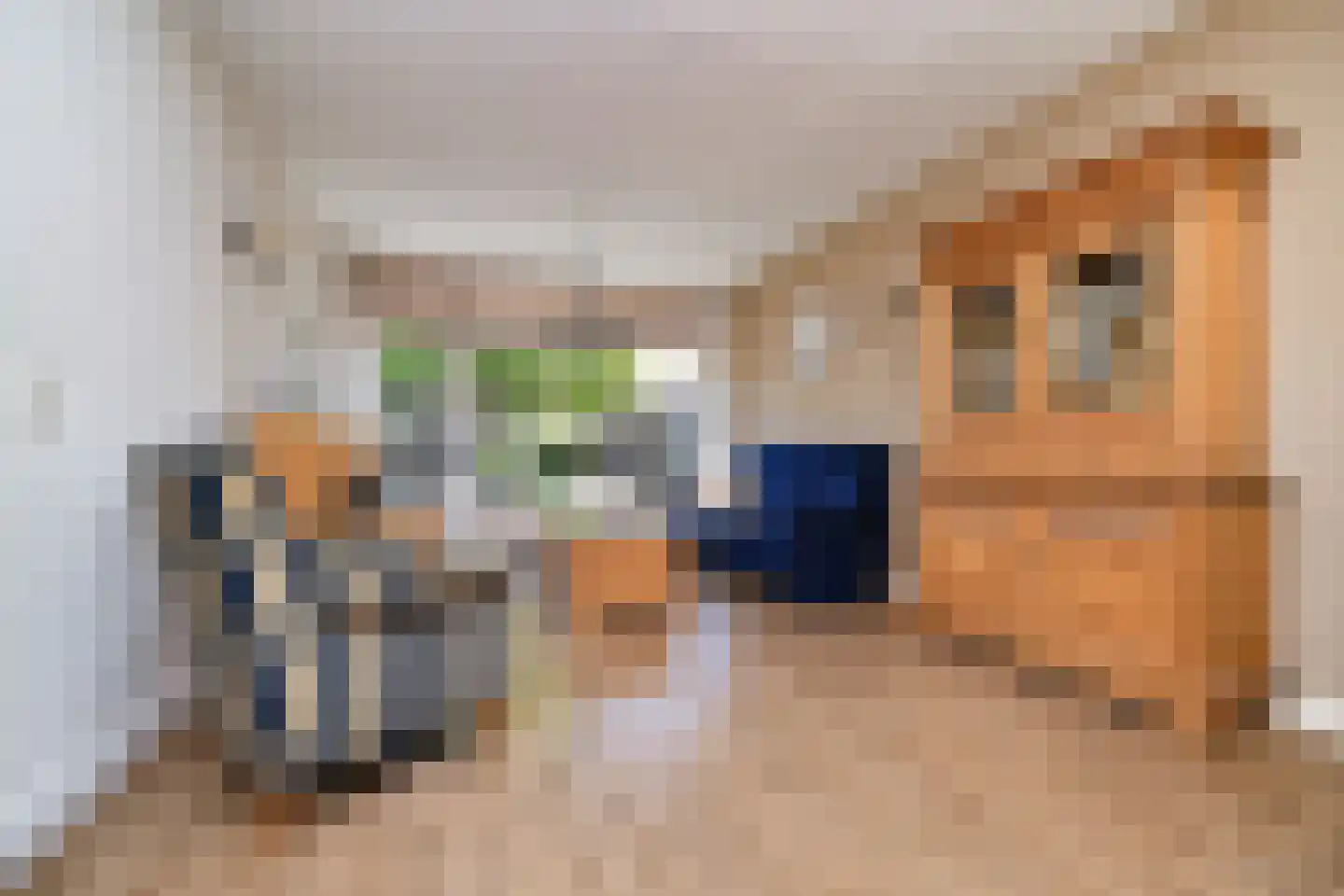 't Weerom 5 Barendrecht thumbnail 5