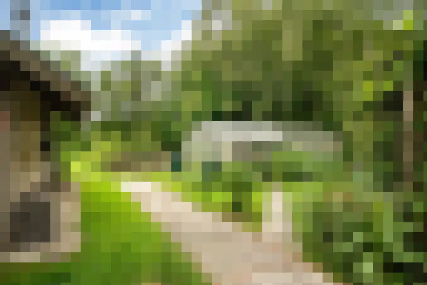 't West 18 A Donkerbroek thumbnail 11