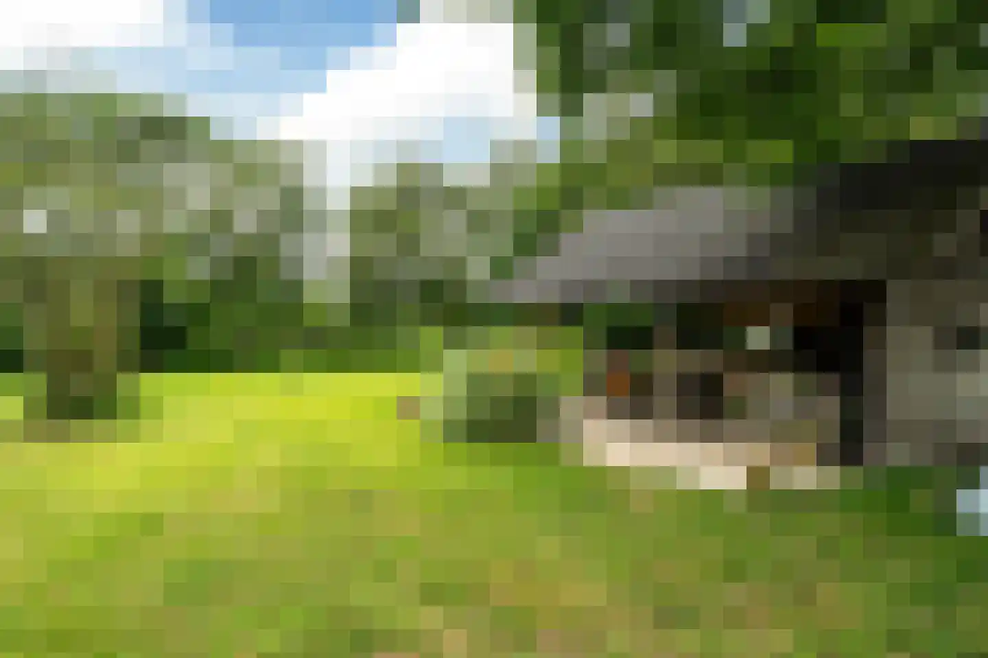 't West 18 A Donkerbroek thumbnail 12