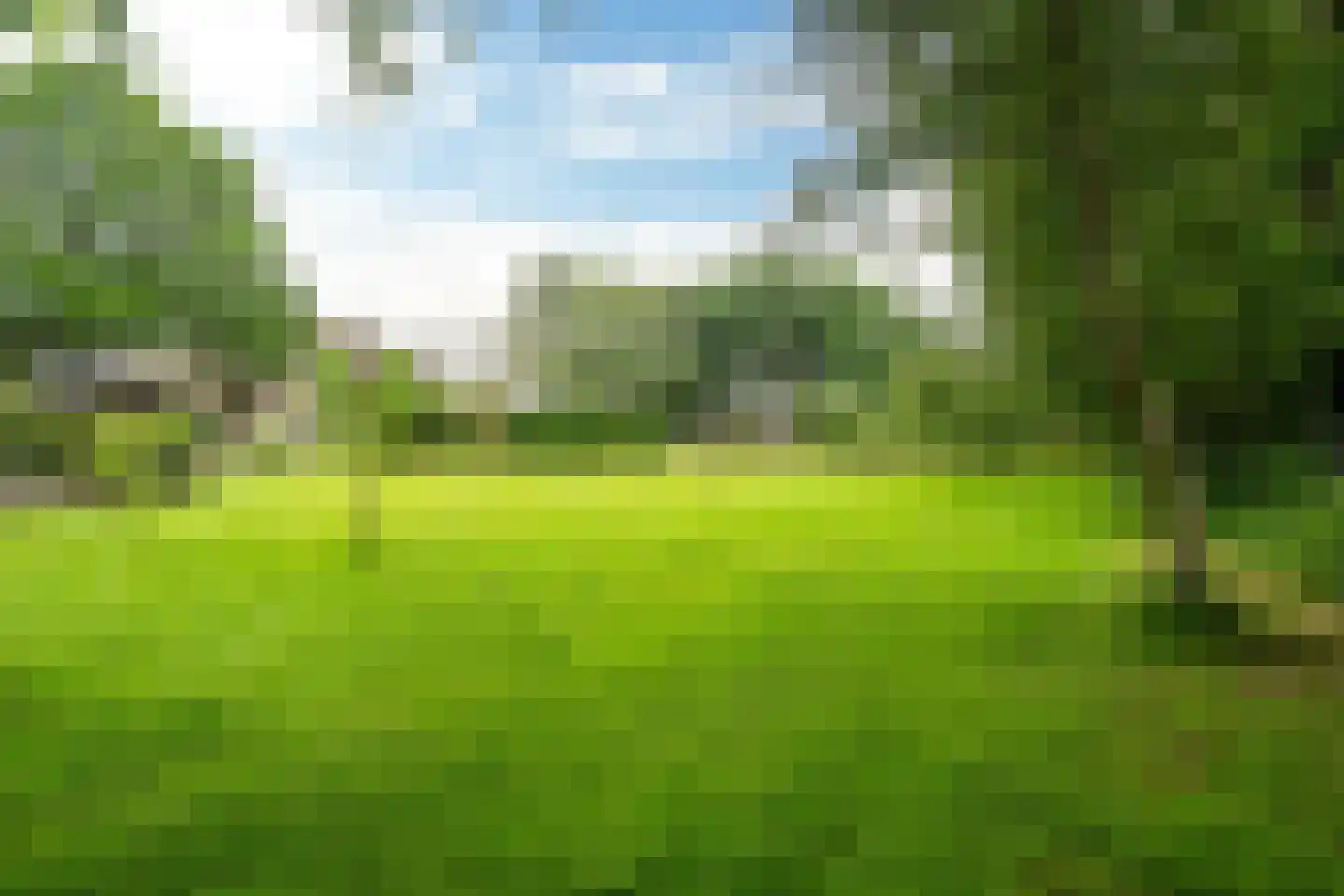 't West 18 A Donkerbroek thumbnail 14