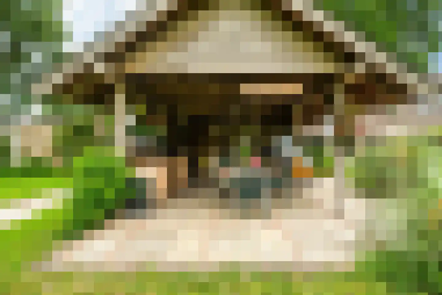 't West 18 A Donkerbroek thumbnail 15