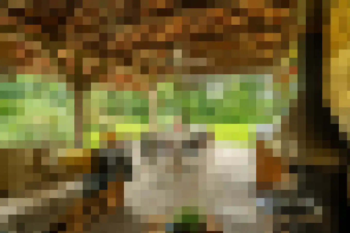 't West 18 A Donkerbroek thumbnail 16