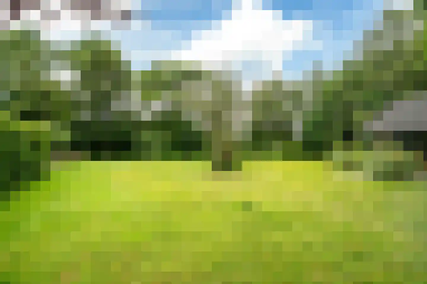 't West 18 A Donkerbroek thumbnail 5