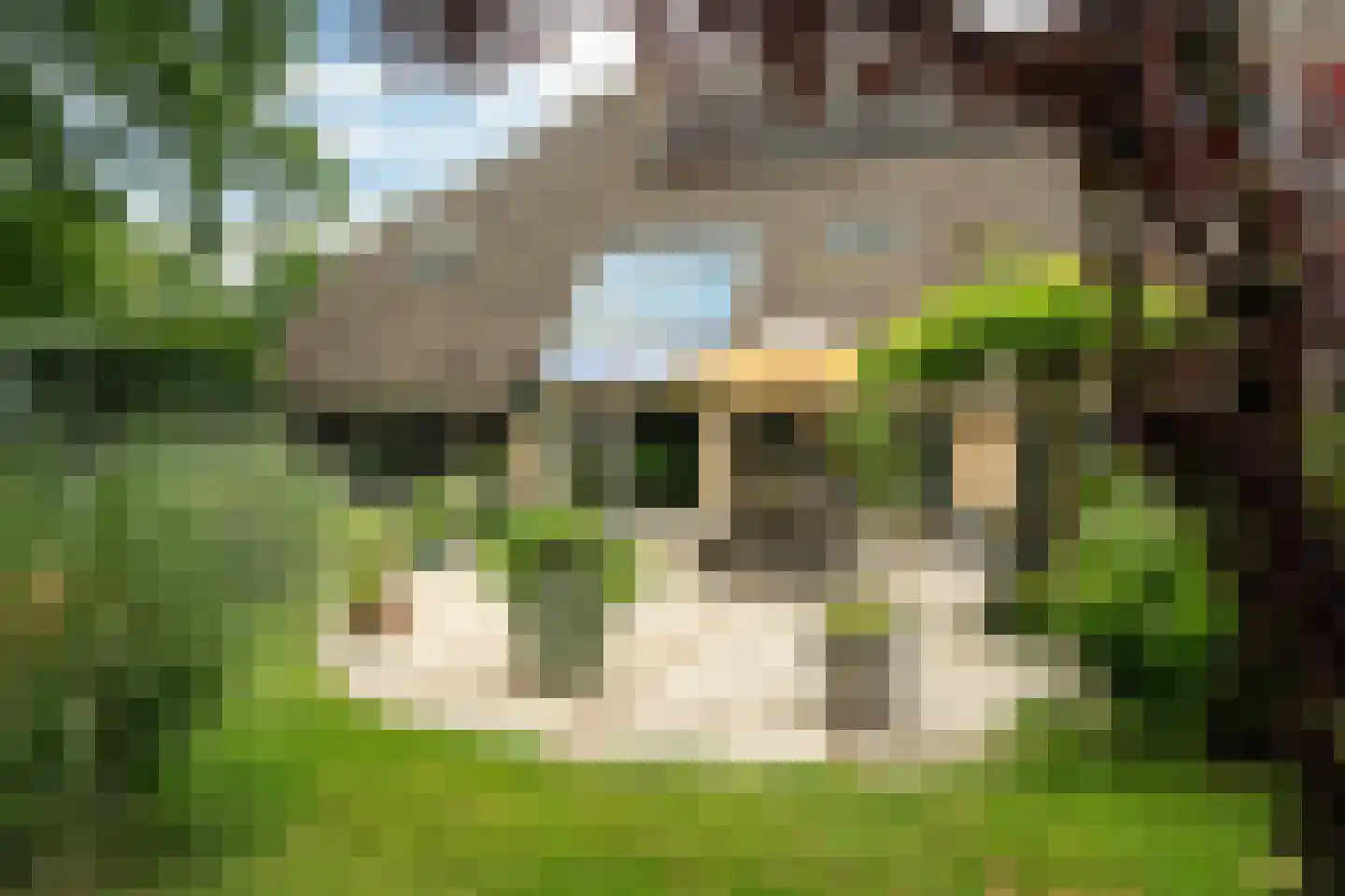 't West 18 A Donkerbroek thumbnail 6