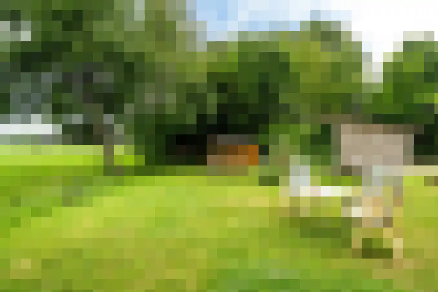 't West 18 A Donkerbroek thumbnail 65
