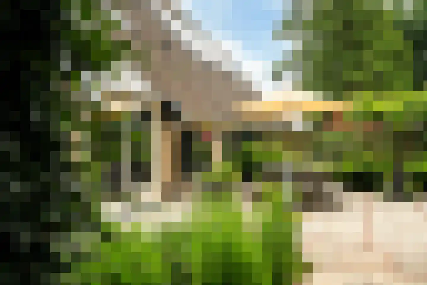 't West 18 A Donkerbroek thumbnail 68