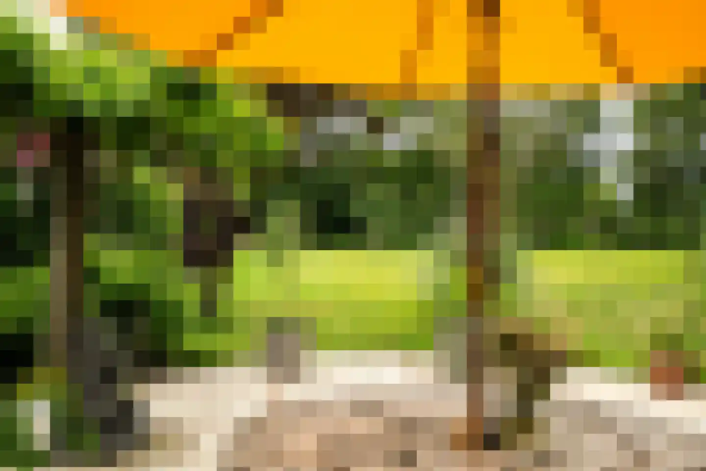 't West 18 A Donkerbroek thumbnail 69