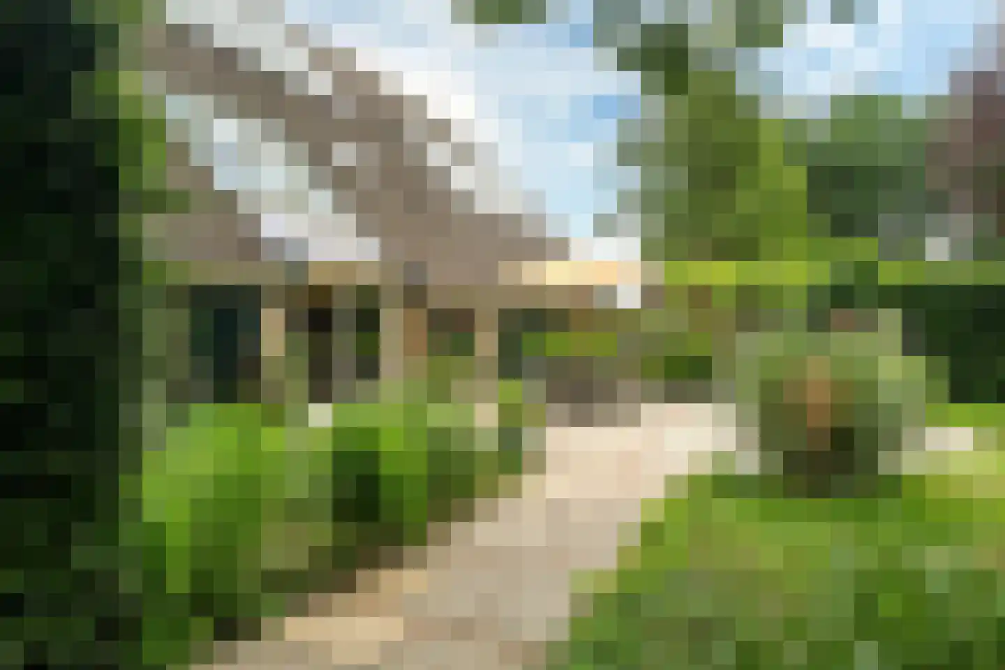't West 18 A Donkerbroek thumbnail 7