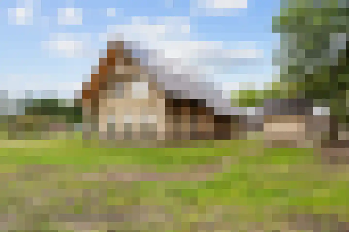 't West 24 Donkerbroek thumbnail 14