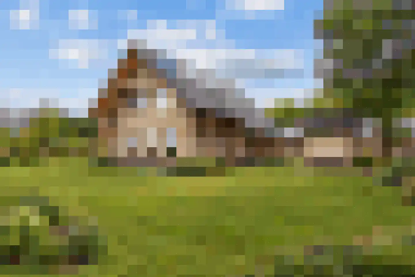 't West 24 Donkerbroek thumbnail 15