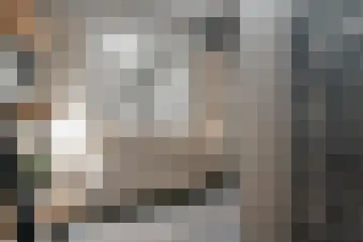't Westert 23 Oldemarkt thumbnail 23