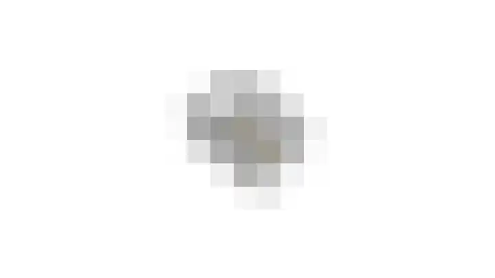 't Westert 26 Oldemarkt thumbnail 48