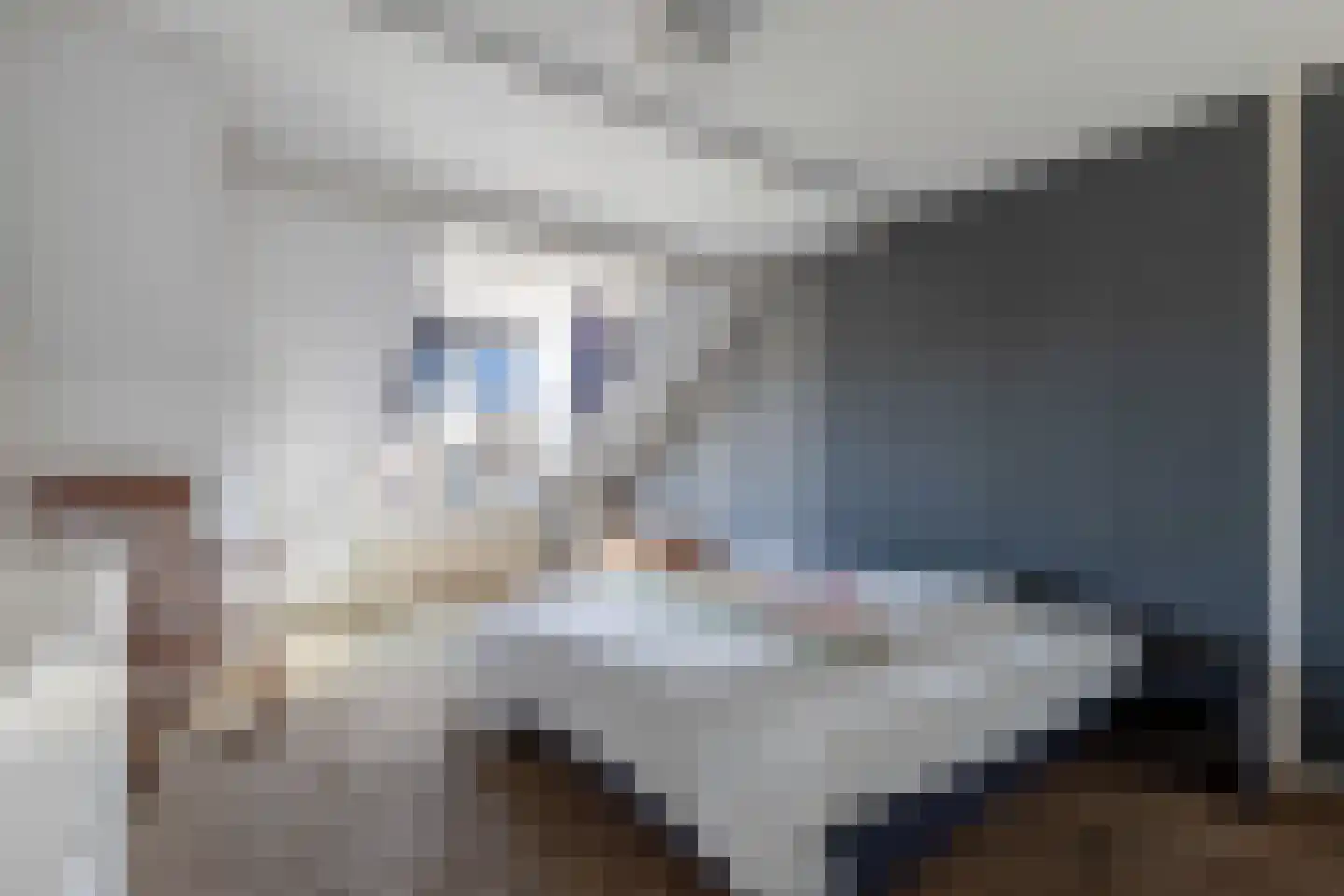 't Wijd 24 Lemmer thumbnail 24