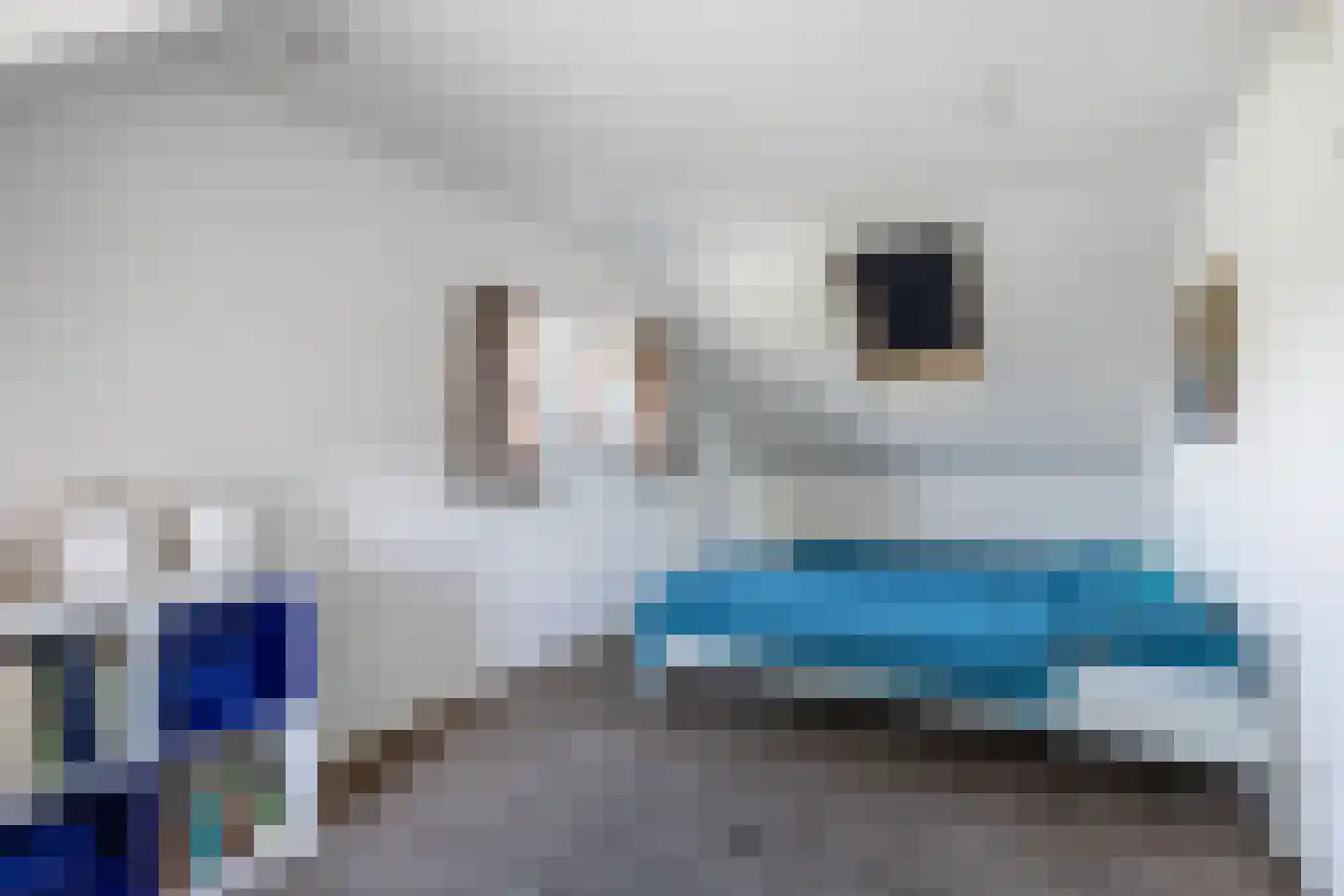 't Wijd 24 Lemmer thumbnail 27