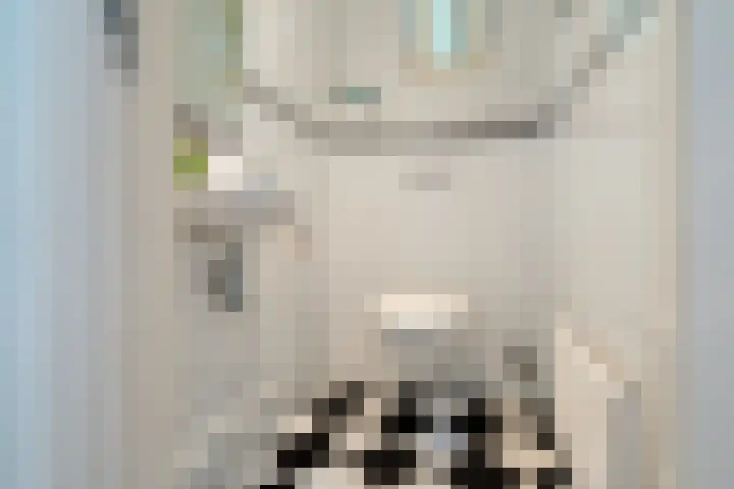 't Witzand 14 Eext thumbnail 14