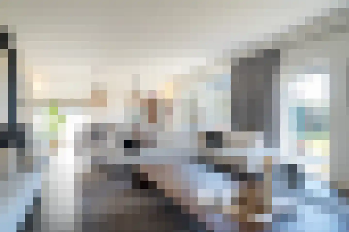 't Witzand 14 Eext thumbnail 16