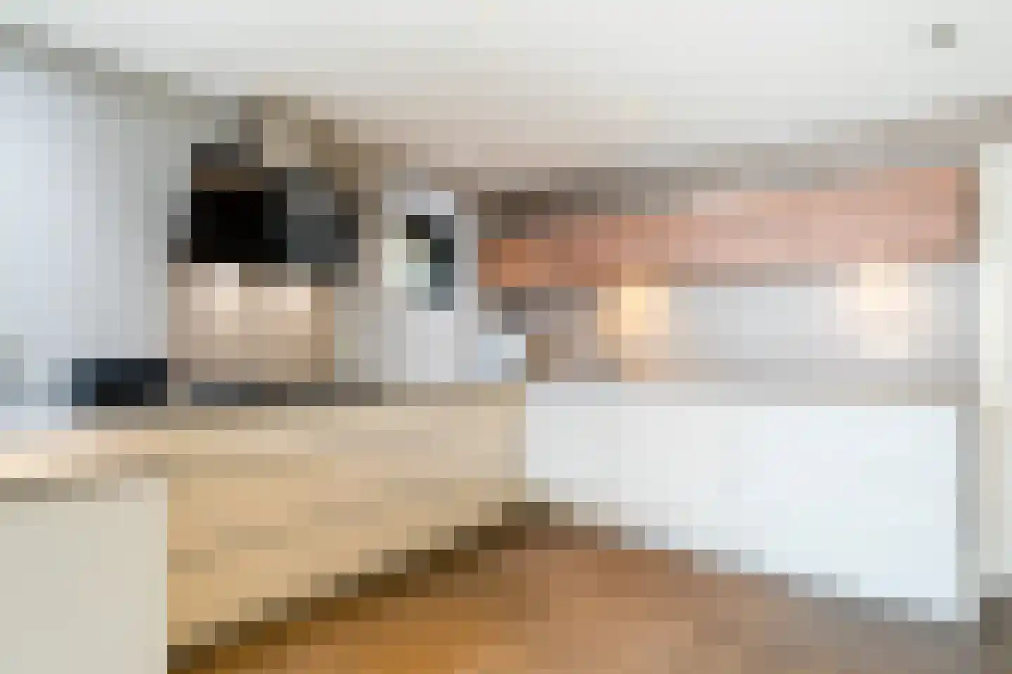 't Witzand 14 Eext thumbnail 28