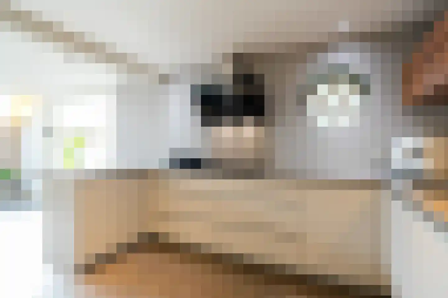 't Witzand 14 Eext thumbnail 29