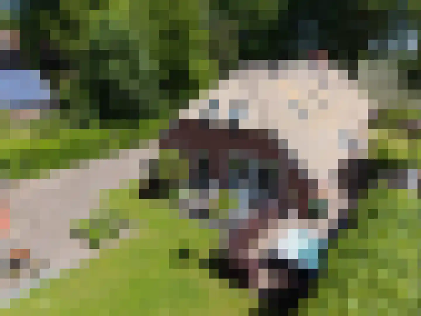 't Witzand 14 Eext thumbnail 4