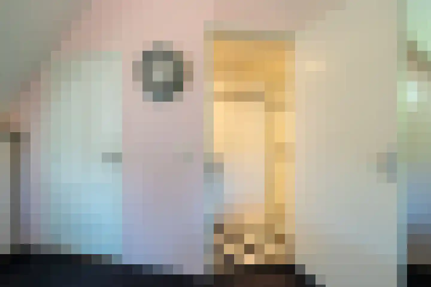 't Witzand 14 Eext thumbnail 51