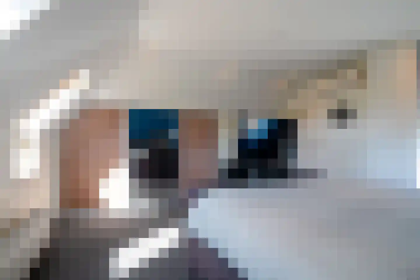 't Witzand 14 Eext thumbnail 61