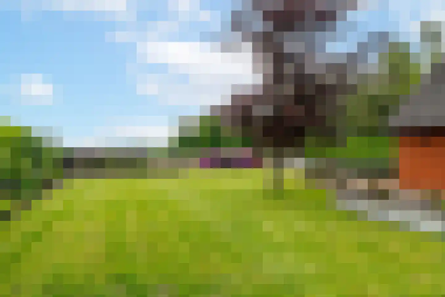 't Witzand 14 Eext thumbnail 65