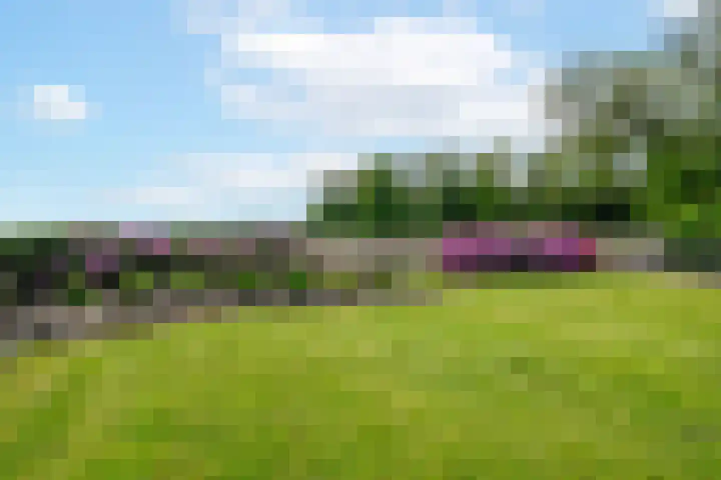 't Witzand 14 Eext thumbnail 72