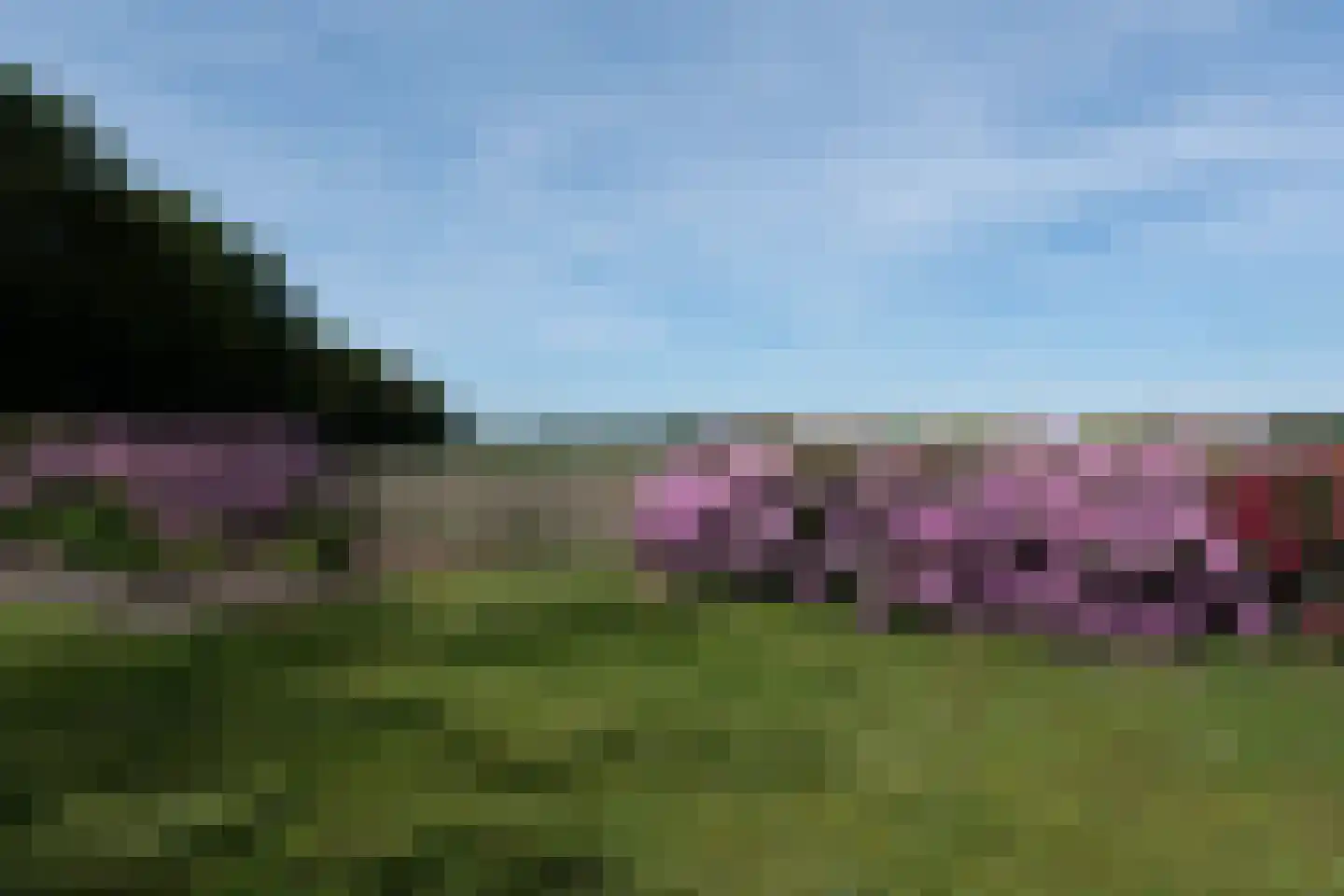 't Witzand 14 Eext thumbnail 73