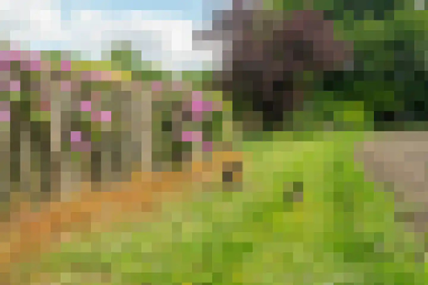 't Witzand 14 Eext thumbnail 78