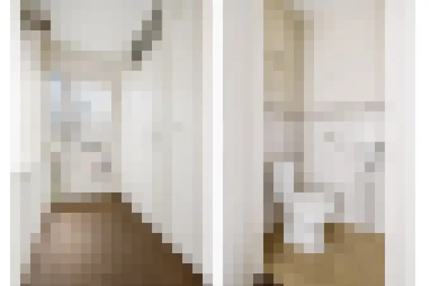 't Woerel 45 Bunnik thumbnail 10