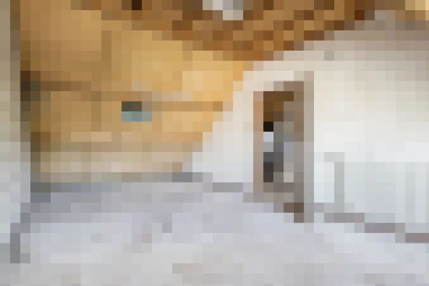 't Woerel 45 Bunnik thumbnail 29