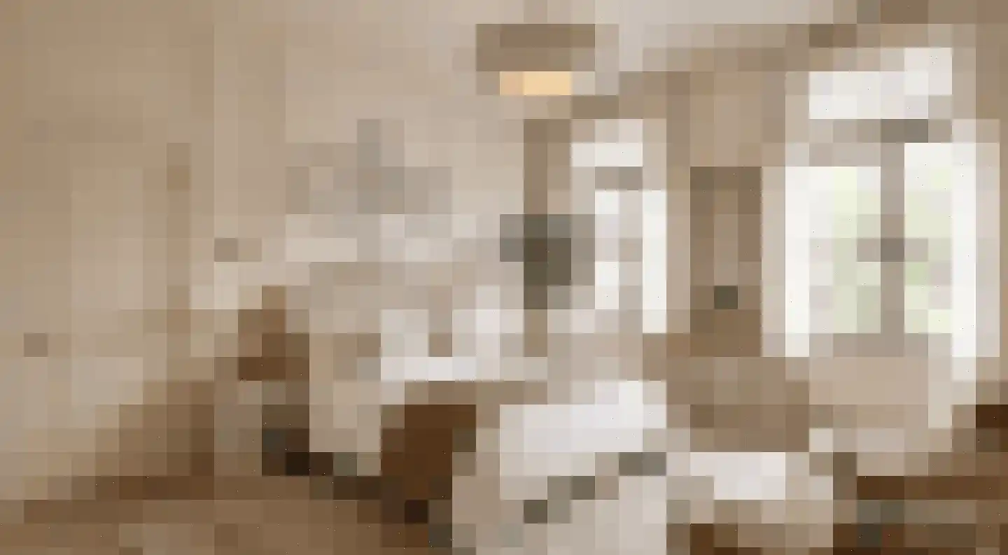 't Woudt 10 Schipluiden thumbnail 10
