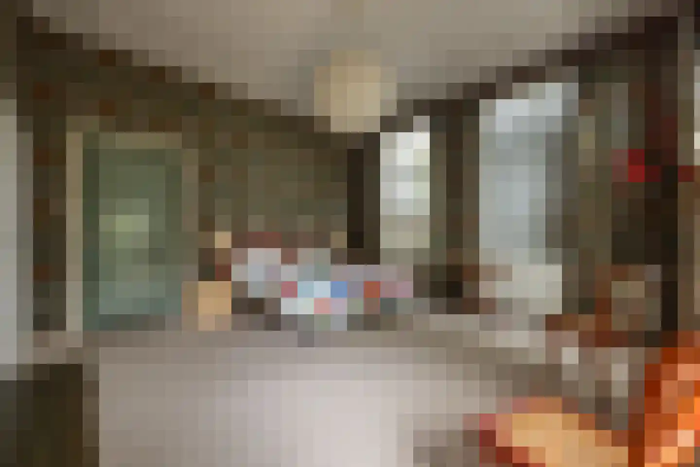 't Woudt 10 Schipluiden thumbnail 11