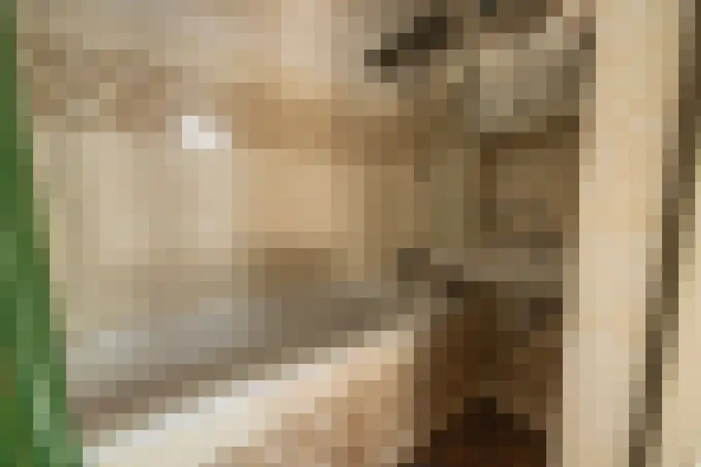 't Woudt 10 Schipluiden thumbnail 12