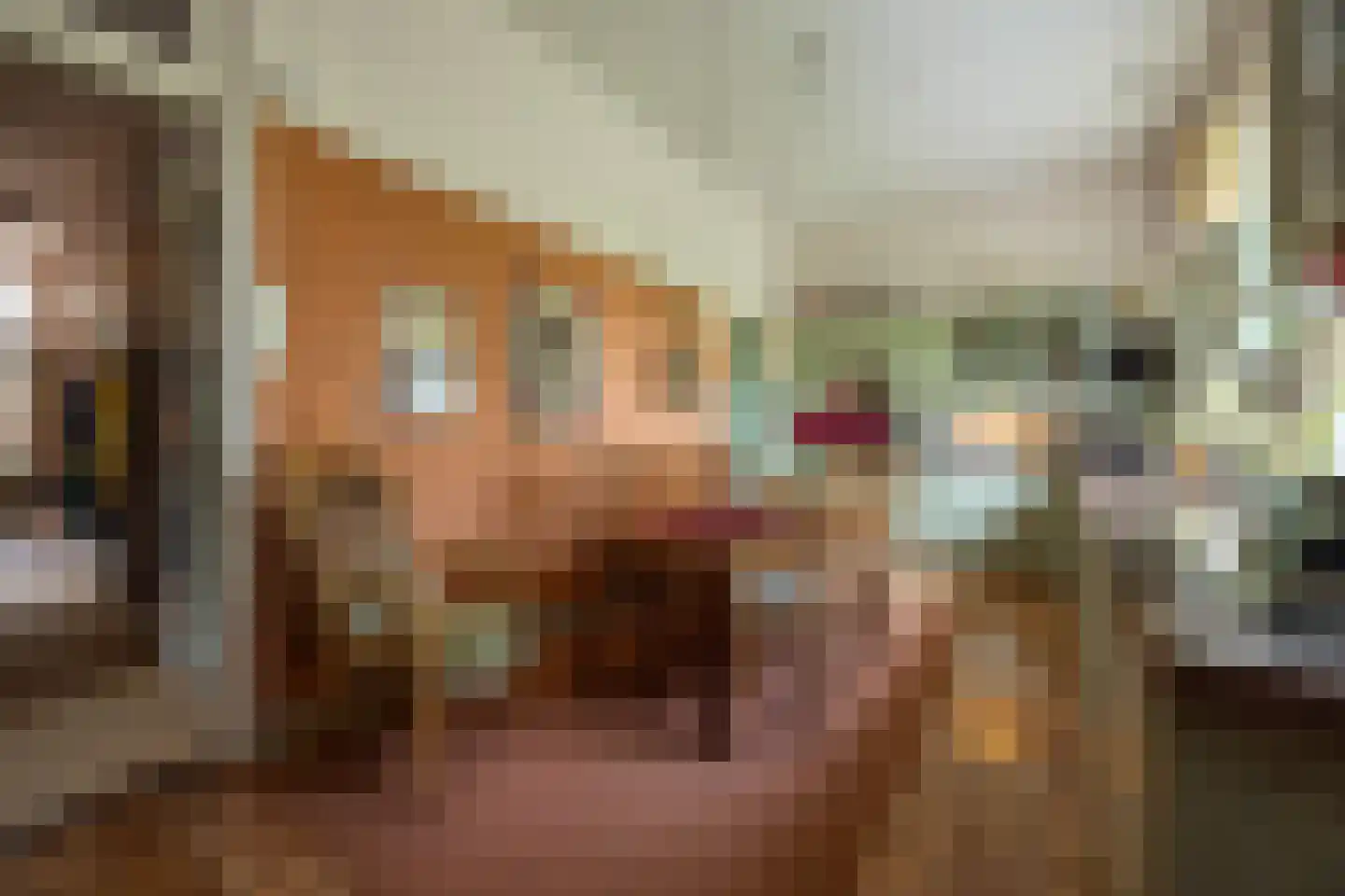 't Woudt 10 Schipluiden thumbnail 13
