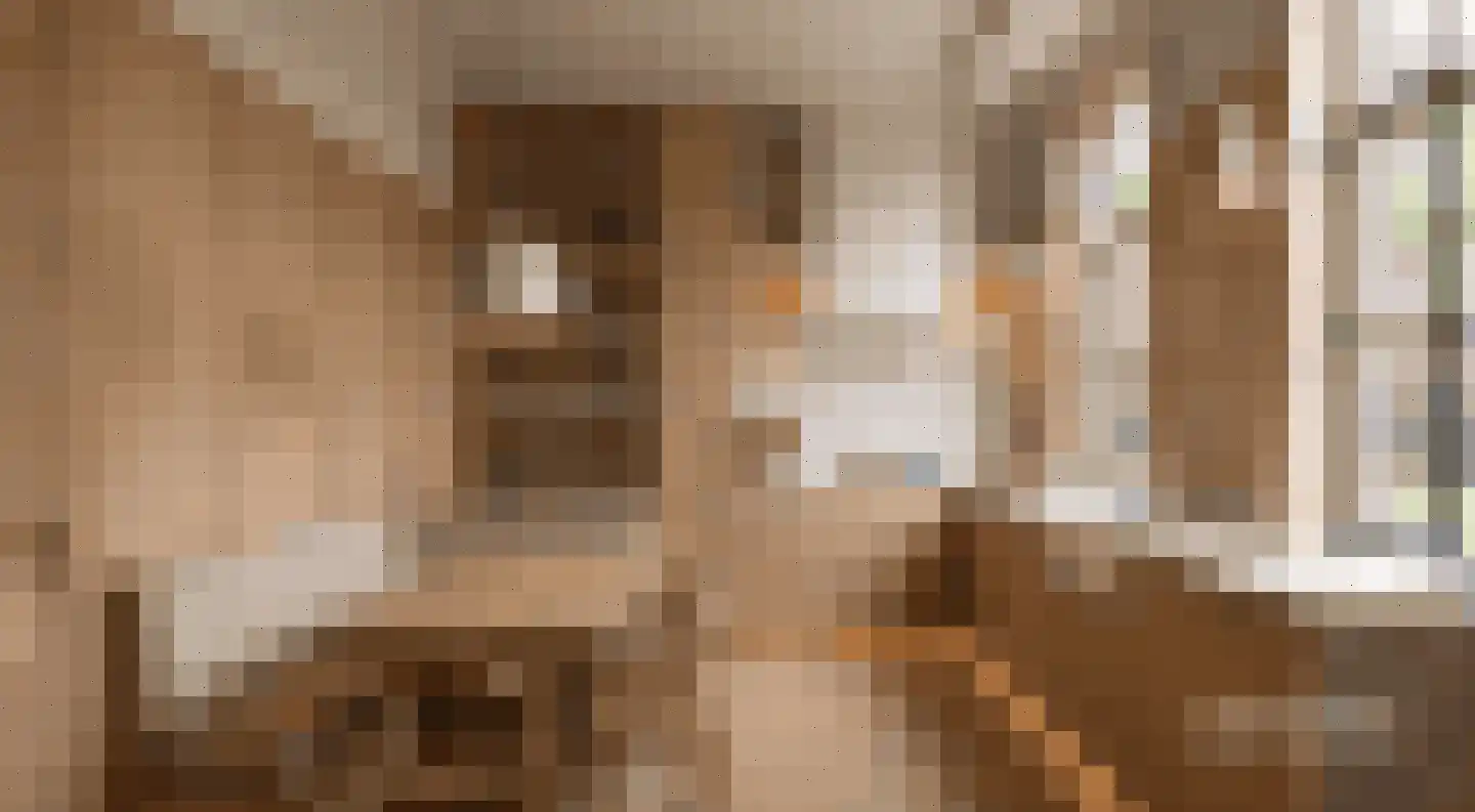 't Woudt 10 Schipluiden thumbnail 14