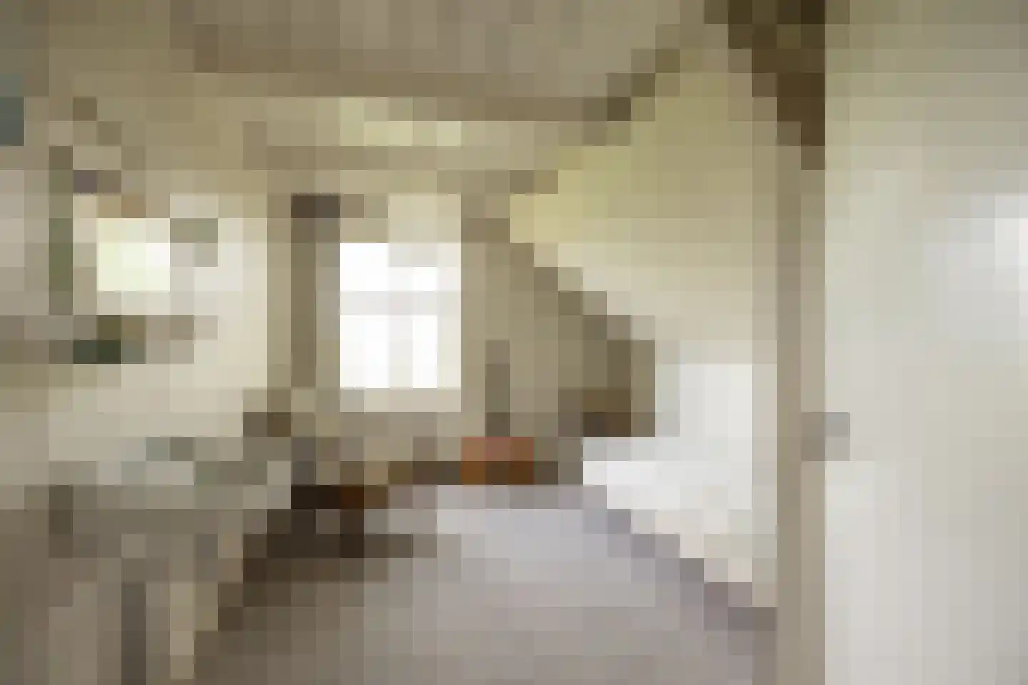't Woudt 10 Schipluiden thumbnail 17