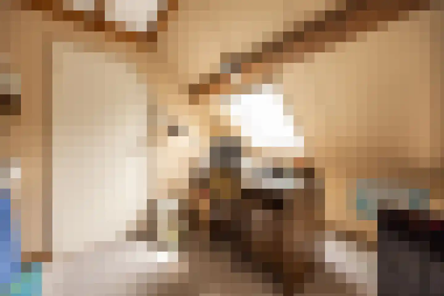 't Woudt 10 Schipluiden thumbnail 19