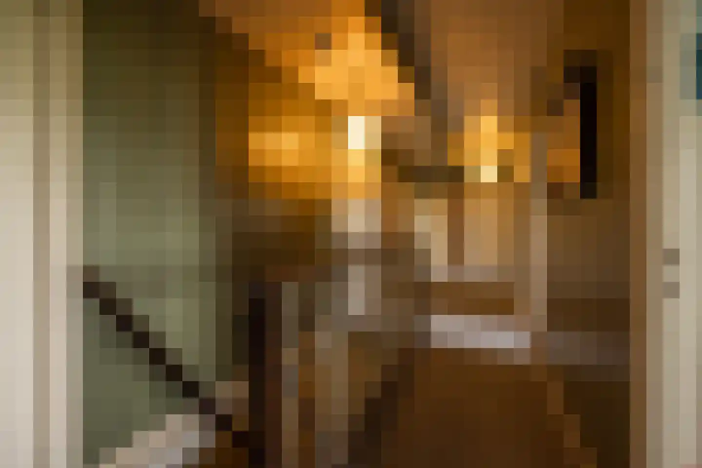 't Woudt 10 Schipluiden thumbnail 20