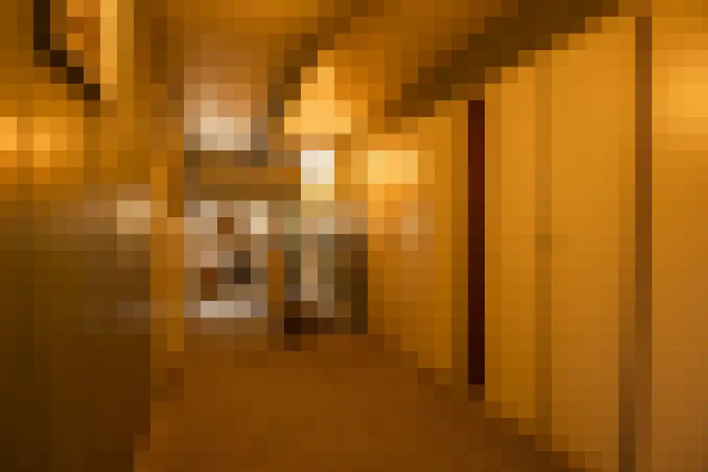 't Woudt 10 Schipluiden thumbnail 22