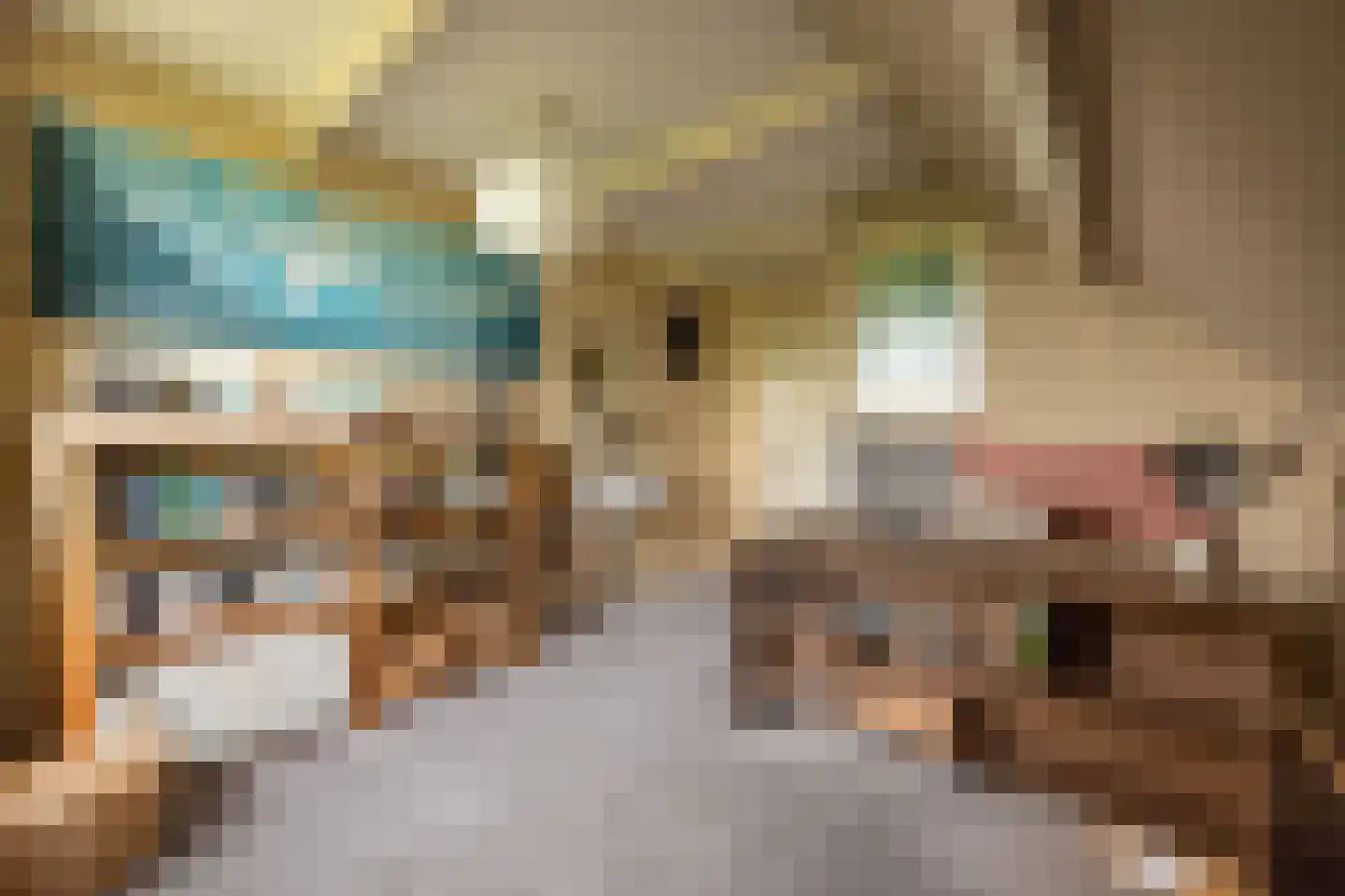 't Woudt 10 Schipluiden thumbnail 24