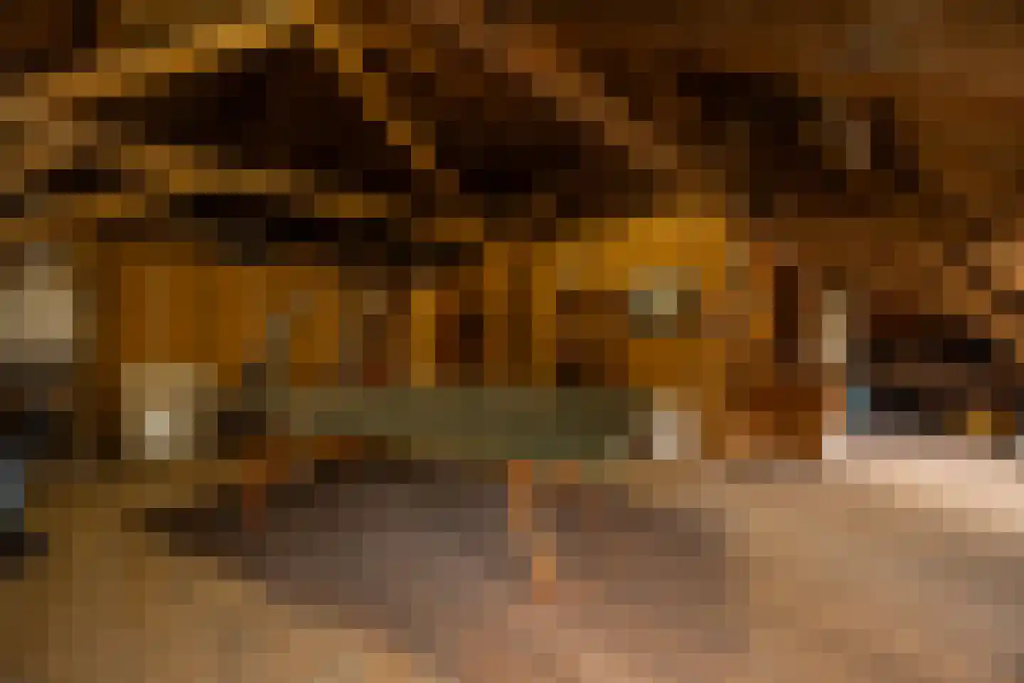 't Woudt 10 Schipluiden thumbnail 25