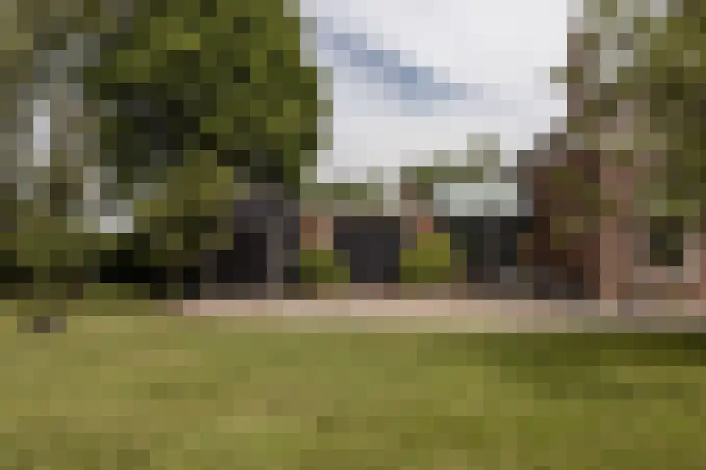 't Woudt 10 Schipluiden thumbnail 28