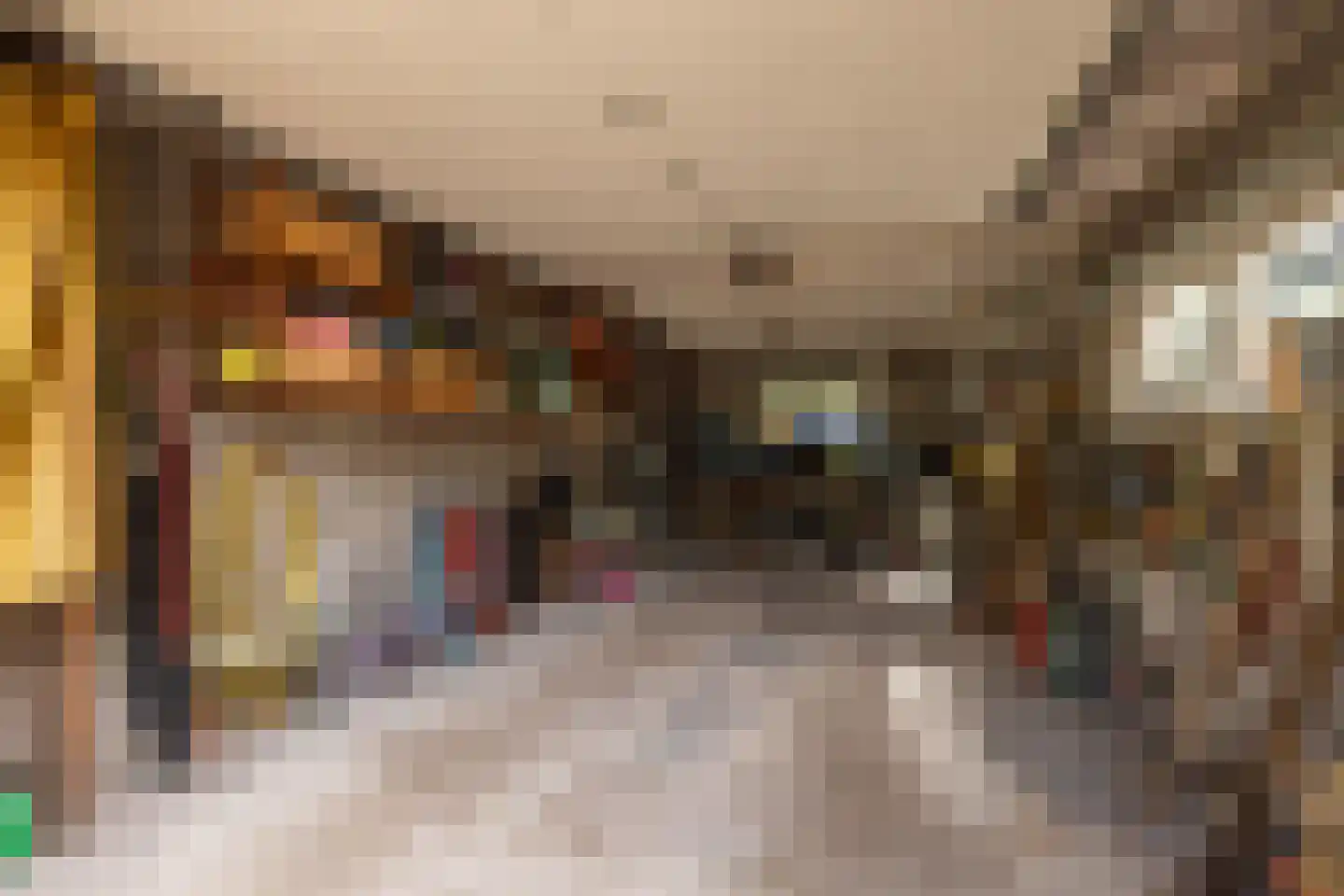 't Woudt 10 Schipluiden thumbnail 29